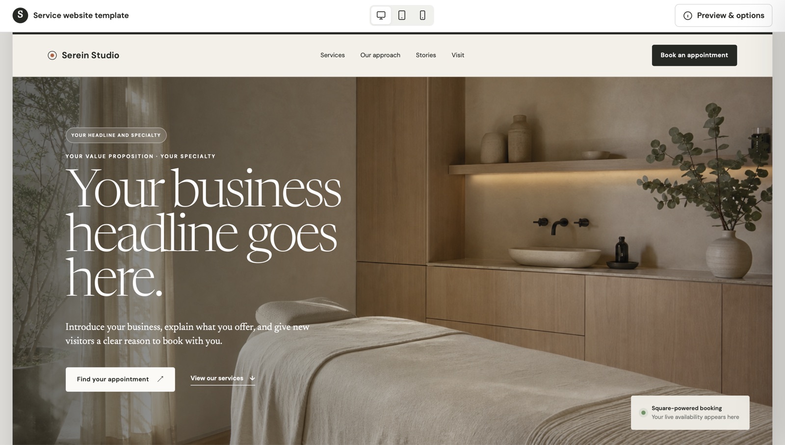 Booking Business Website template preview